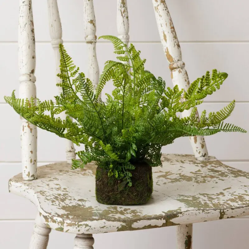 Mossy Faux Fern (PC)