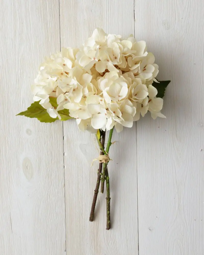 Bunch - Hydrangea, Cream (PC)