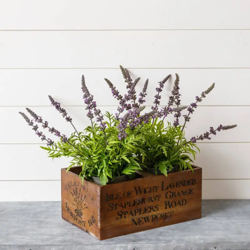 Vintage Lavender Crate (PC)