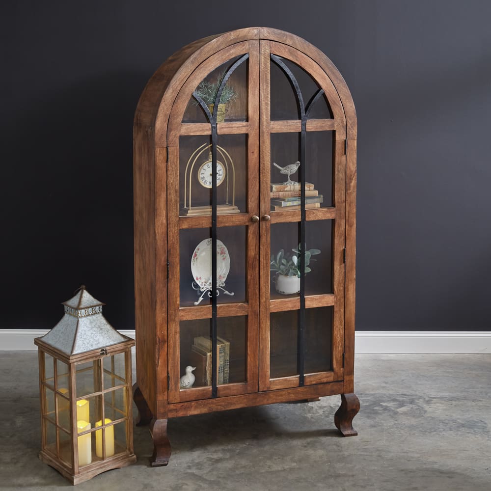 Featured Image for Arched Wood and Iron Display Cabinet