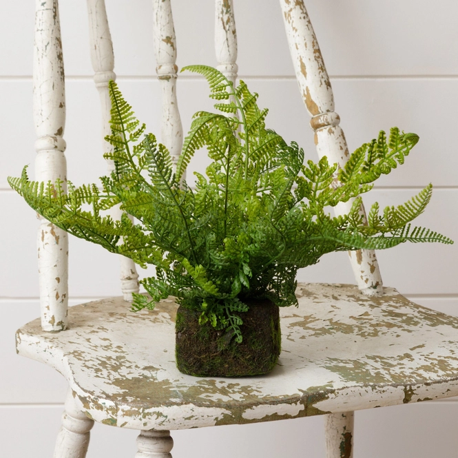 Featured image for “Mossy Faux Fern”