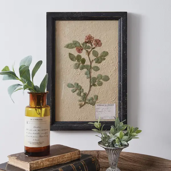 Featured image for “Pressed Botanical Wall Decor - Japanese Rose”