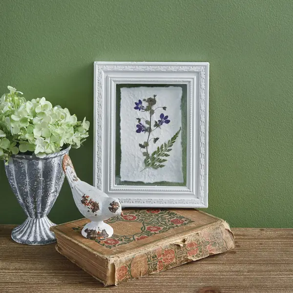 Featured Image for Pressed Botanical Wall Decor - Violets